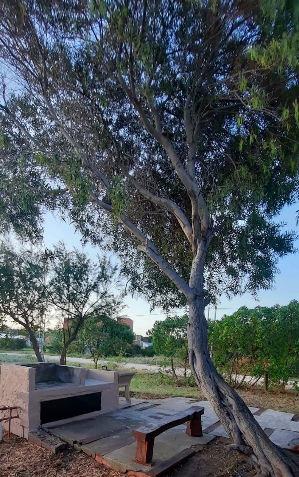 🌊 VENTA CABAÑA EN MARISOL - 8